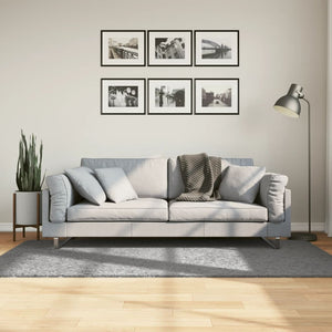 Tappeto Shaggy PAMPLONA a Pelo Lungo Moderno Grigio 100x200 cm 375254