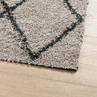 Tappeto Shaggy PAMPLONA a Pelo Lungo Beige e Antracite 80x150cm 375383