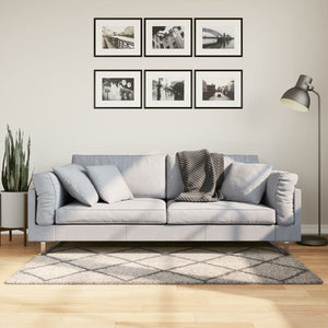 Tappeto Shaggy PAMPLONA a Pelo Lungo Beige e Antracite 80x150cm