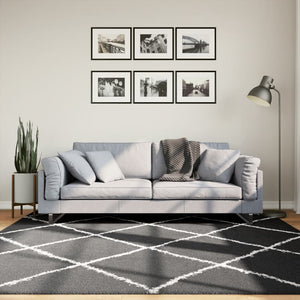 Tappeto Shaggy PAMPLONA a Pelo Lungo Nero e Crema 200x200 cm 375414