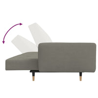 Divano Letto a 2 Posti con 2 Cuscini-Sofa Letto 2 Posti-Daybed Grigio Chiaro in Velluto 830730
