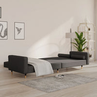 Divano Letto a 2 Posti con 2 Cuscini-Sofa Letto 2 Posti-Daybed Grigio Scuro in Velluto 346253
