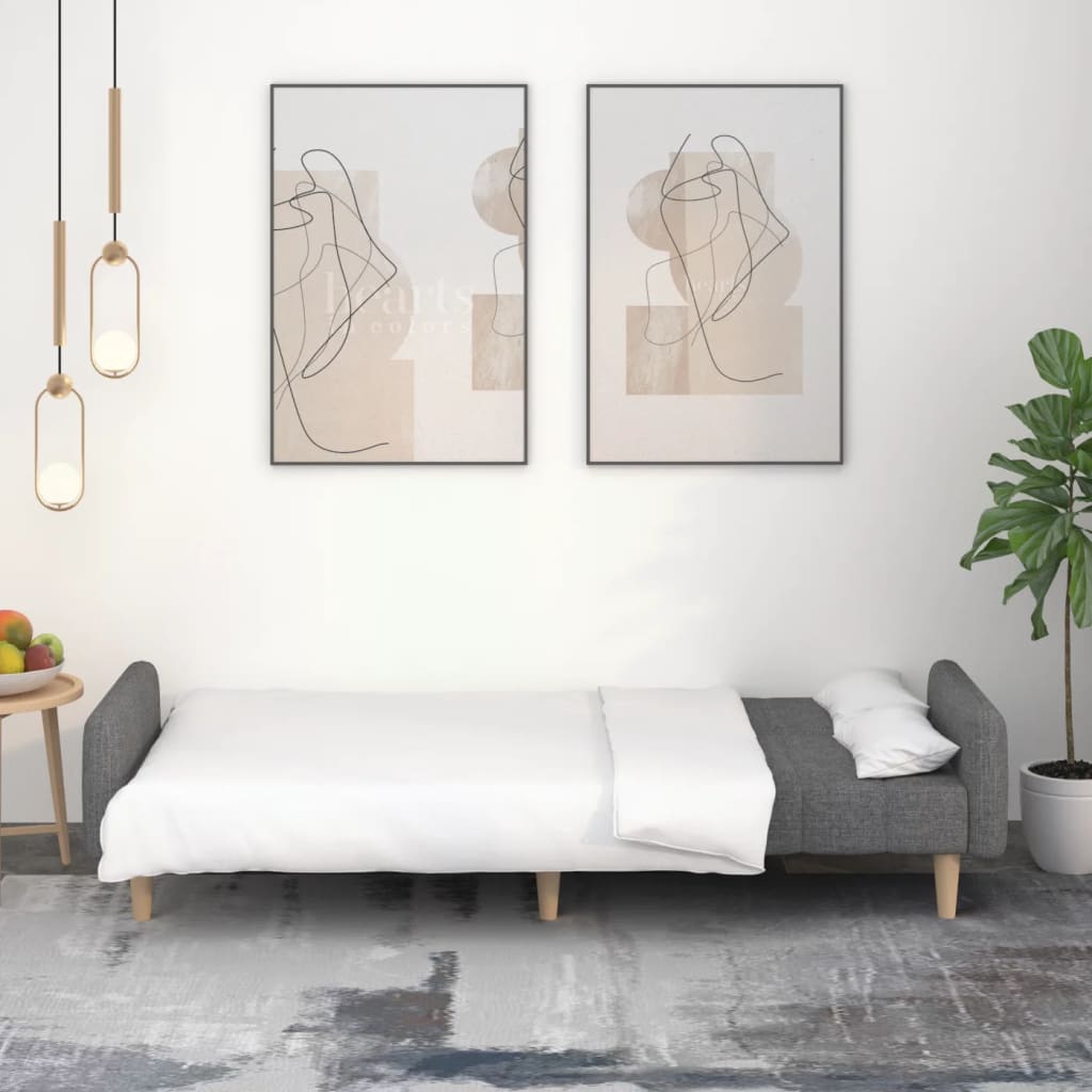 Divano Letto a 2 Posti-Sofa Letto 2 Posti-Daybed Grigio Chiaro in Tessuto 966990