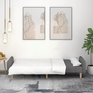 Divano Letto a 2 Posti-Sofa Letto 2 Posti-Daybed Grigio Chiaro in Tessuto 966990