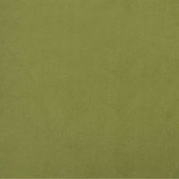 Divano Letto a 2 Posti Verde Chiaro in Velluto