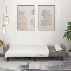 Divano Letto a 2 Posti-Sofa Letto 2 Posti-Daybed Grigio Chiaro in Velluto 730387