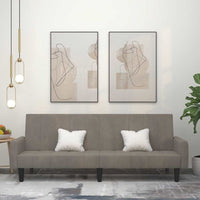 Divano Letto a 2 Posti-Sofa Letto 2 Posti-Daybed Grigio Chiaro in Velluto 730387