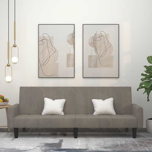 Divano Letto a 2 Posti-Sofa Letto 2 Posti-Daybed Grigio Chiaro in Velluto 730387