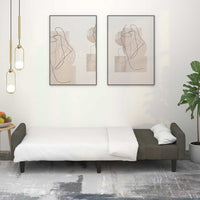 Divano Letto a 2 Posti-Sofa Letto 2 Posti-Daybed Grigio Scuro in Velluto 240585