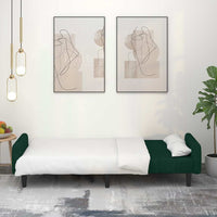 Divano Letto a 2 Posti-Sofa Letto 2 Posti-Daybed Verde Scuro in Velluto 771433