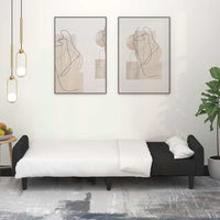 Divano Letto a 2 Posti-Sofa Letto 2 Posti-Daybed Nero in Velluto 641257