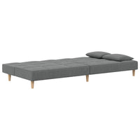 Divano Letto a 2 Posti con 2 Cuscini-Sofa Letto 2 Posti-Daybed Grigio Scuro in Tessuto 442121