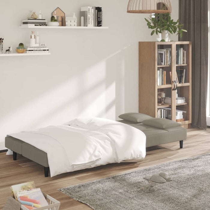Divano Letto a 2 Posti con 2 Cuscini-Sofa Letto 2 Posti-Daybed Grigio Chiaro in Velluto 471802
