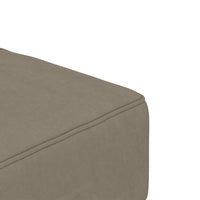 Divano Letto a 2 Posti con 2 Cuscini-Sofa Letto 2 Posti-Daybed Grigio Chiaro in Velluto 471802