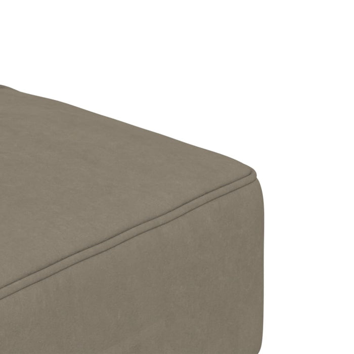 Divano Letto a 2 Posti con 2 Cuscini-Sofa Letto 2 Posti-Daybed Grigio Chiaro in Velluto 471802