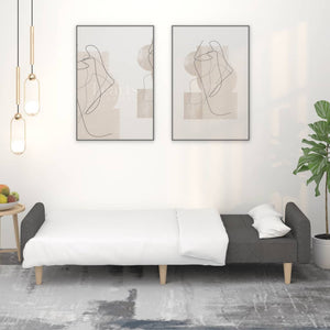 Divano Letto a 2 Posti-Sofa Letto 2 Posti-Daybed Grigio Scuro in Tessuto 370805