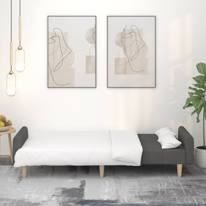 Divano Letto a 2 Posti-Sofa Letto 2 Posti-Daybed Grigio Scuro in Tessuto 370805