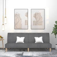 Divano Letto a 2 Posti-Sofa Letto 2 Posti-Daybed Grigio Chiaro in Tessuto 784046