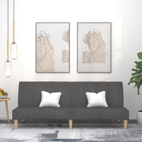 Divano Letto a 2 Posti-Sofa Letto 2 Posti-Daybed Grigio Scuro in Tessuto 345184