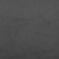 Divano Letto a 2 Posti con 2 Cuscini Grigio Scuro in Velluto 375911