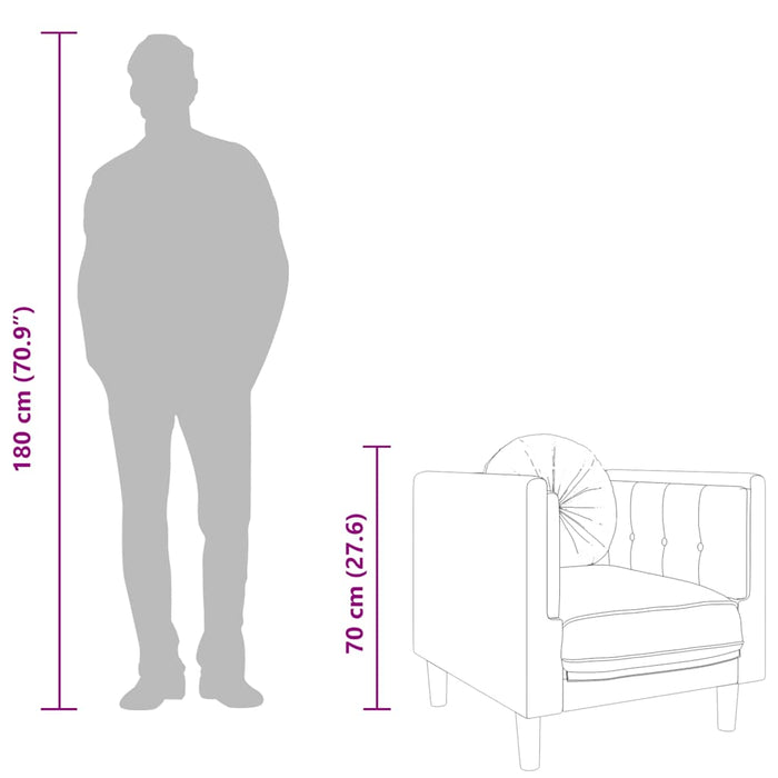 Poltrona con Cuscino Grigio Scuro in Velluto 372623