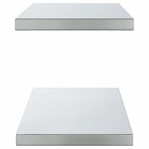 Mensole a Muro 2 pz 100x30x3 cm Argento in Acciaio Inossidabile