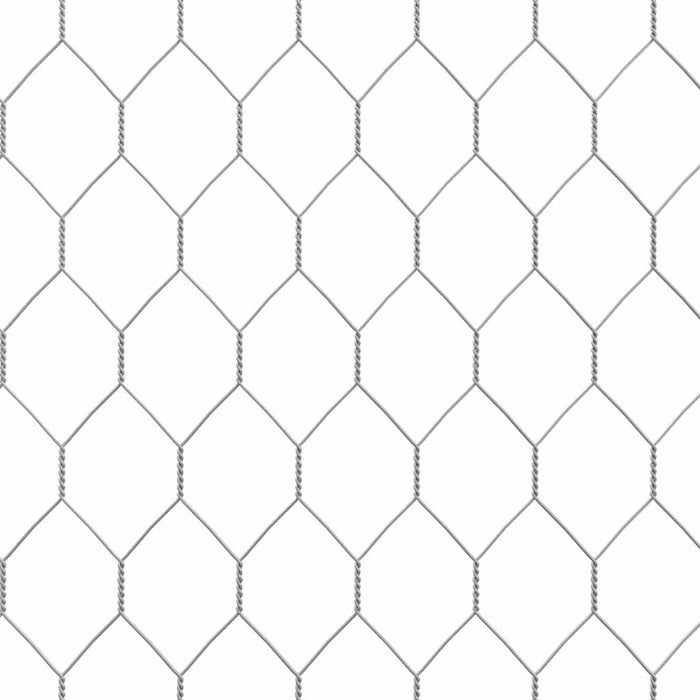 vidaXL Gabbia per Polli Argento 100x100x190 cm in Acciaio Zincato