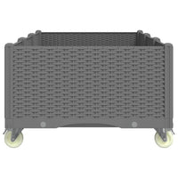 Fioriera da Giardino con Ruote Grigio Chiaro 150x80x54 cm in PP 367983