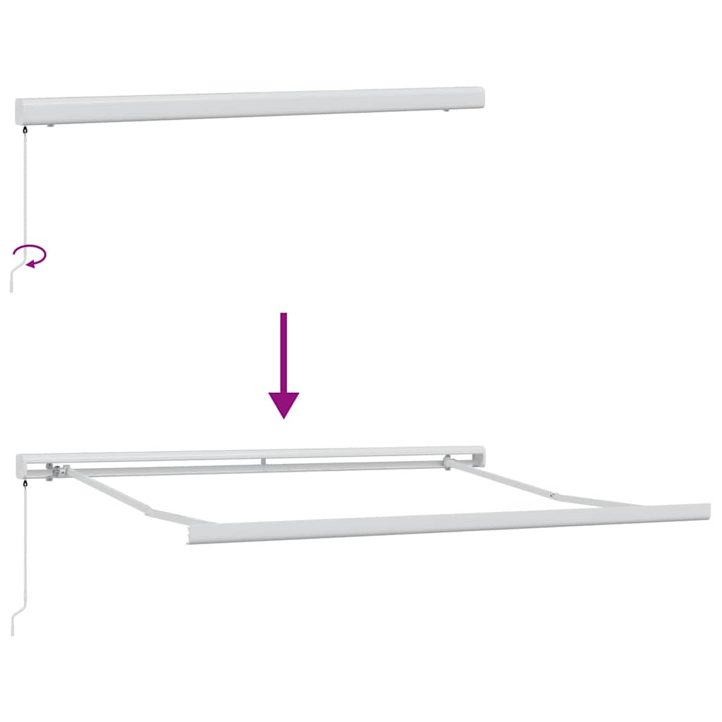 Tenda Sole Retrattile Manuale 300x250 cm Marrone 3215718