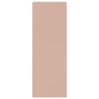 Credenza-Buffet-Armadio da cucina Rosa 67x39x107 cm in Acciaio 136209