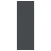 Credenza-Buffet-Armadio da cucina Antracite 67x39x107 cm in Acciaio 912364