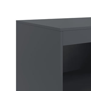 Credenza Antracite 67x39x107 cm in Acciaio 841669
