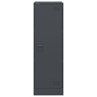 Credenza-Buffet-Armadio da cucina Antracite 34,5x39x107 cm in Acciaio 379609