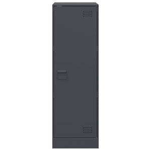 Credenza-Buffet-Armadio da cucina Antracite 34,5x39x107 cm in Acciaio 379609