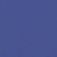 Tenda da Sole Laterale Retrattile Blu 117x300 cm 4004281