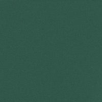 Tenda da Sole Laterale Retrattile Verde Scuro 117x300 cm 4004290