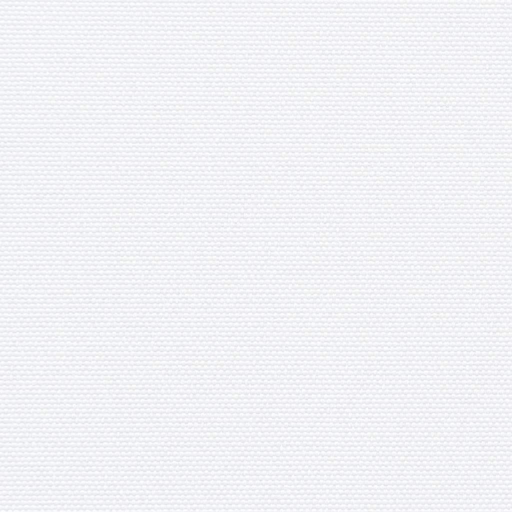 Tenda da Sole Laterale Retrattile Bianco 140x300 cm 4004301