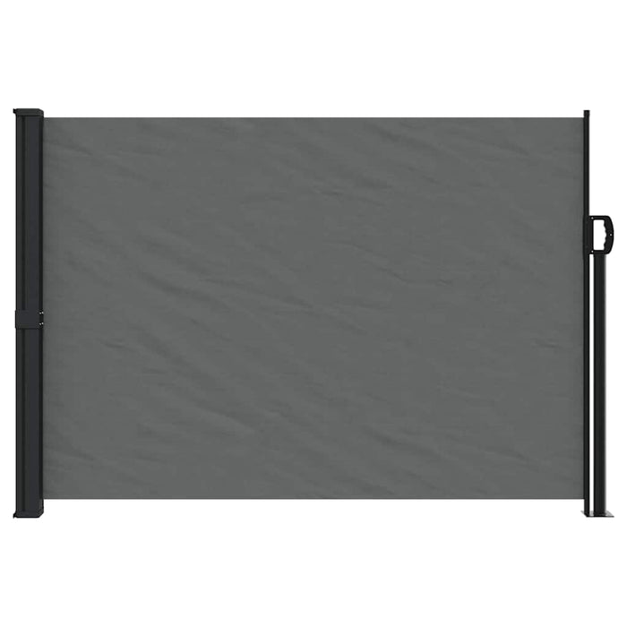 Tenda da sole laterale retrattile antracite 140x300 cm 4004308