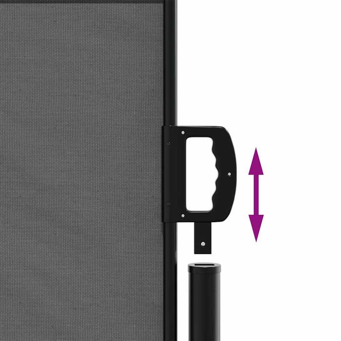 Tenda da sole laterale retrattile antracite 140x300 cm 4004308