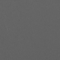 Tenda da sole laterale retrattile antracite 140x300 cm 4004308