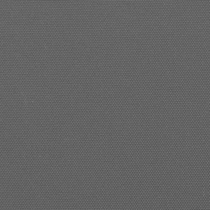 Tenda da sole laterale retrattile antracite 140x300 cm 4004308