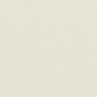 Tenda da Sole Laterale Retrattile Crema 160x300 cm 4004310