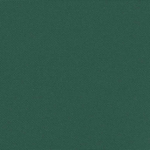 Tenda da Sole Laterale Retrattile Verde Scuro 160x300 cm 4004320