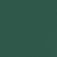 Tenda da Sole Laterale Retrattile Verde Scuro 160x300 cm 4004320