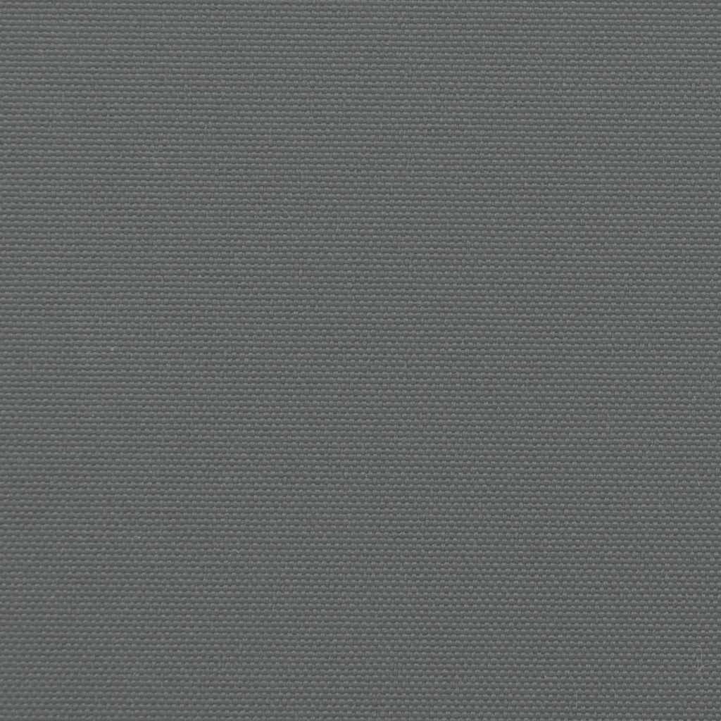 Tenda da sole laterale retrattile antracite 160x300 cm 4004323