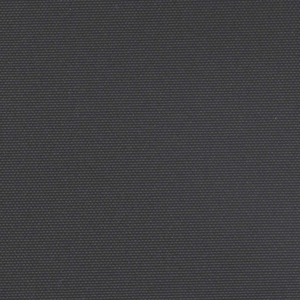 Tenda da Sole Laterale Retrattile Nera 180x300 cm 4004339