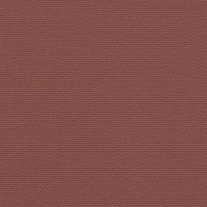 Tenda da Sole Laterale Retrattile Marrone 180x300 cm 4004344