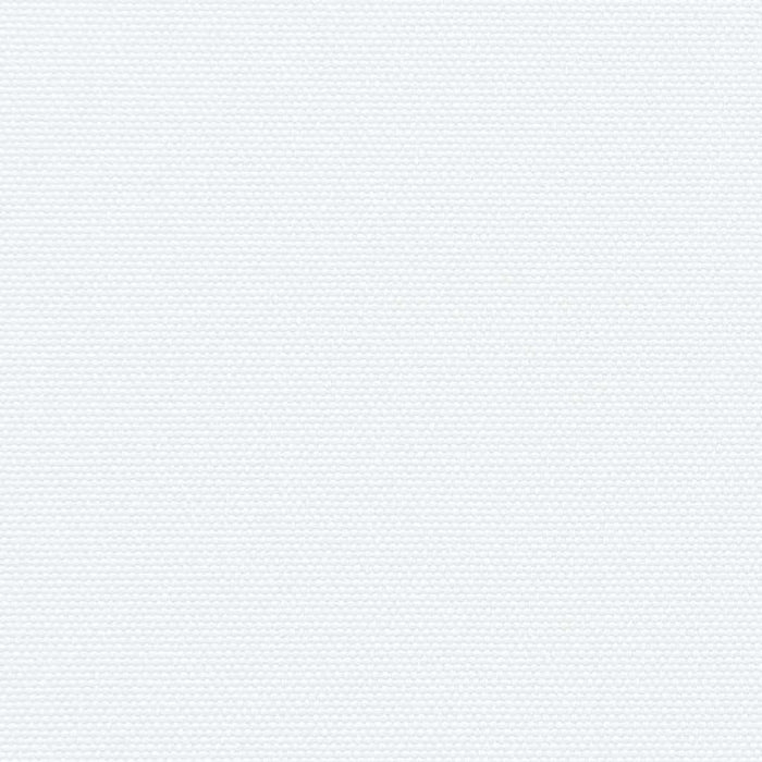 Tenda da Sole Laterale Retrattile Bianco 220x300 cm 4004376