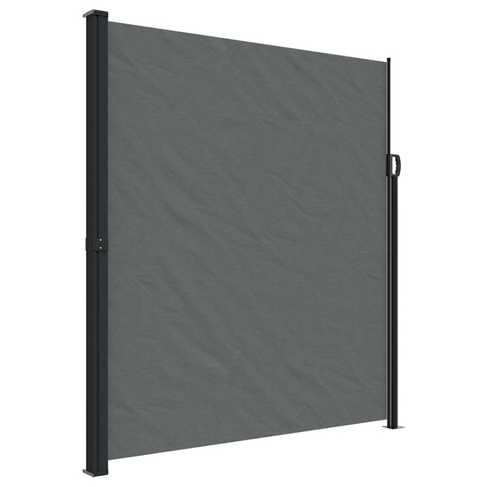 Tenda da sole laterale retrattile antracite 220x300 cm 4004383