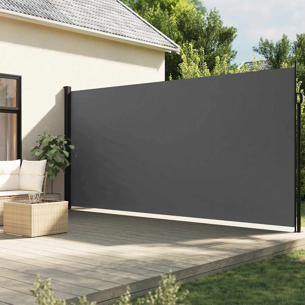 Tenda da sole laterale retrattile antracite 220x300 cm 4004383